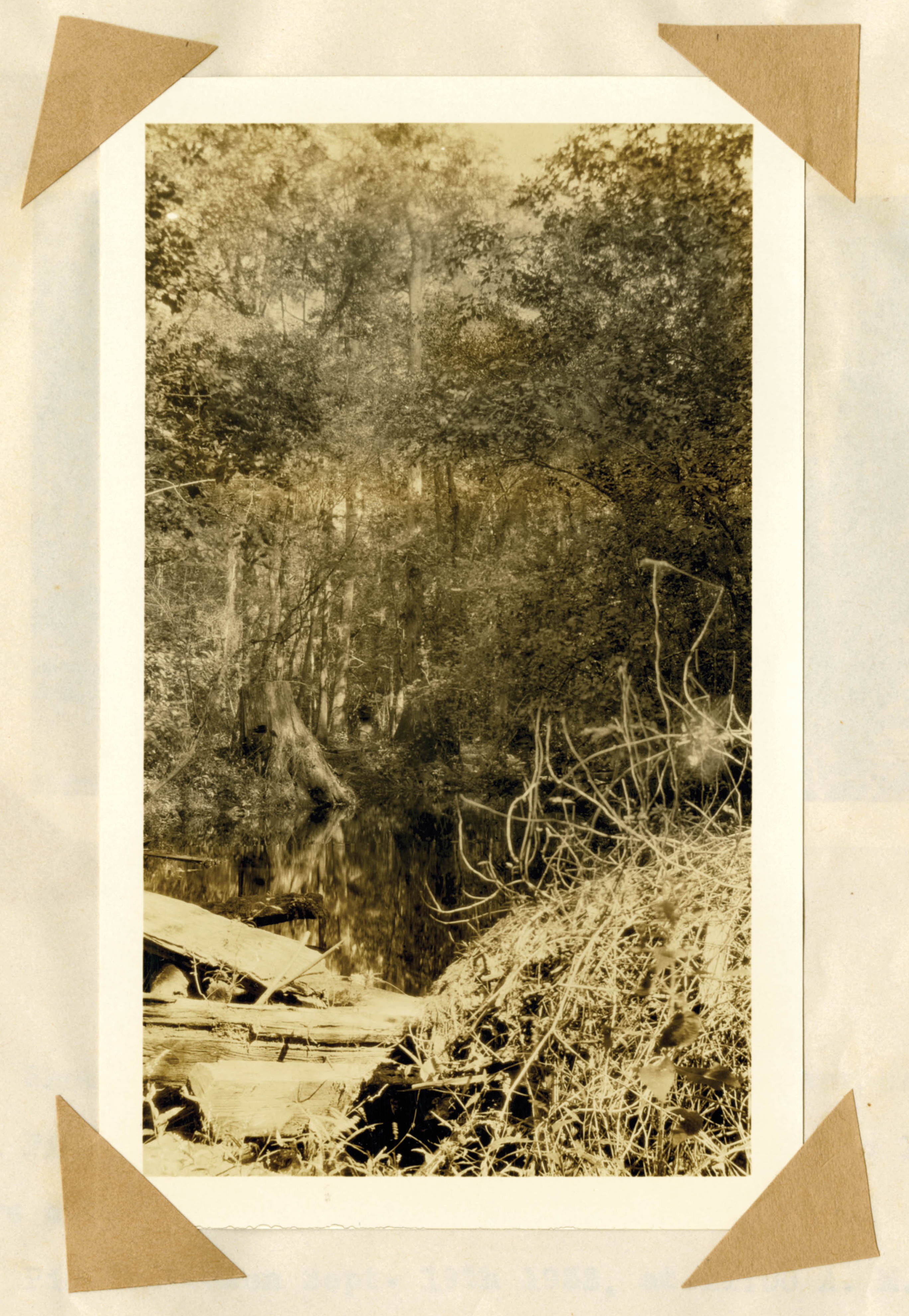 A view of a still site; a boiler would be set up in a remote area, preferably on a small stream since water was essential for production.