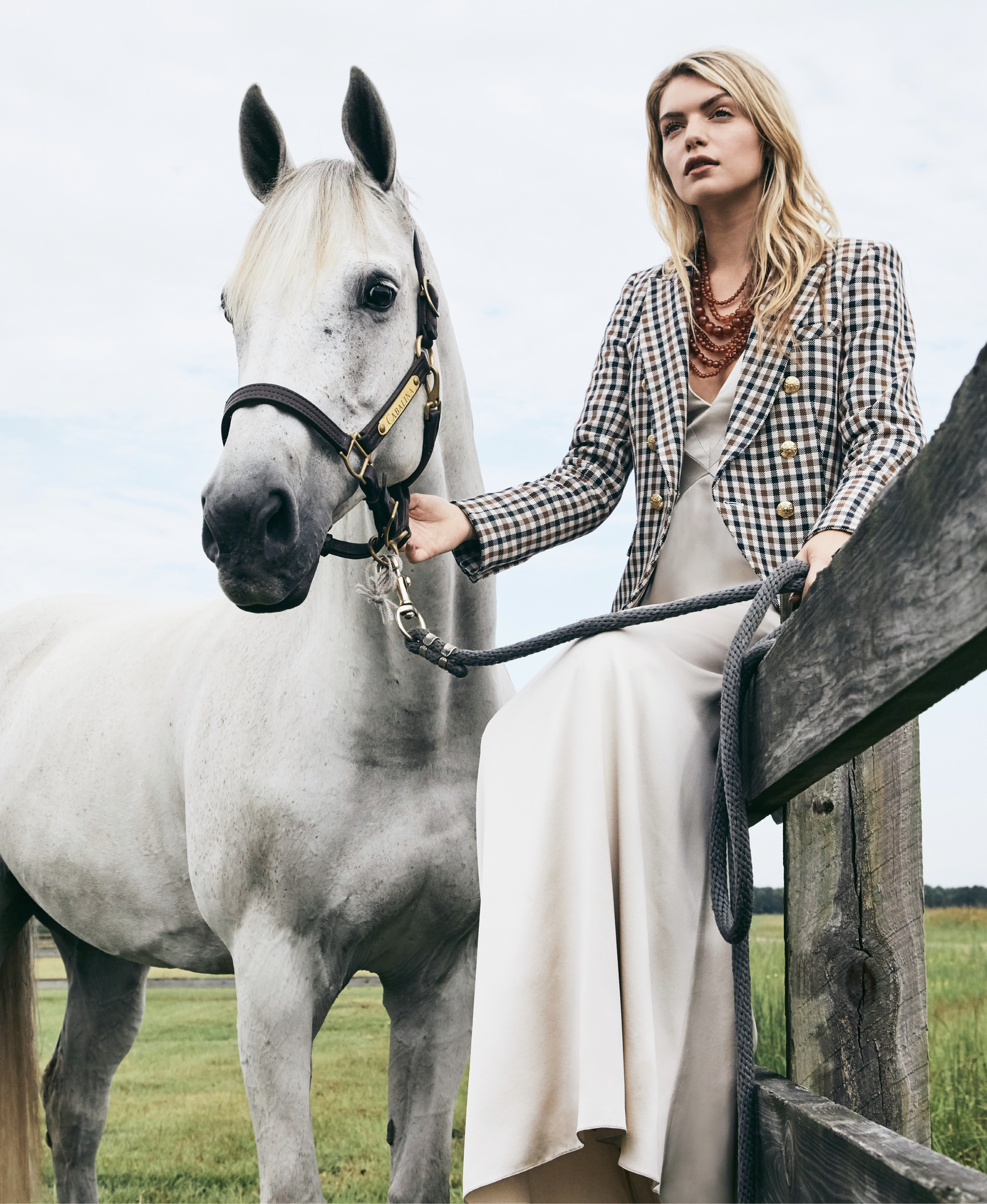 Field Day - Carol Hannah “Lineata” silk crepe and satin gown in “champagne,” price upon request at Southern Protocol; Veronica Beard “Lonny Dickey” jacket in “brown/navy,” $595 at Gwynn’s of Mount Pleasant; Kenneth Jay Lane amber bead necklace, $325 at Croghan’s Jewel Box.  Pictured with Cher (owned by Kate Richardson &amp; Dave Hanley)
