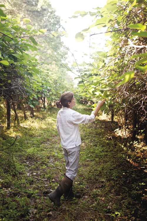 Photograph by Tim Moxley