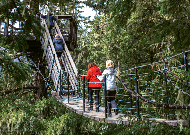 Ziptrek Ecotours