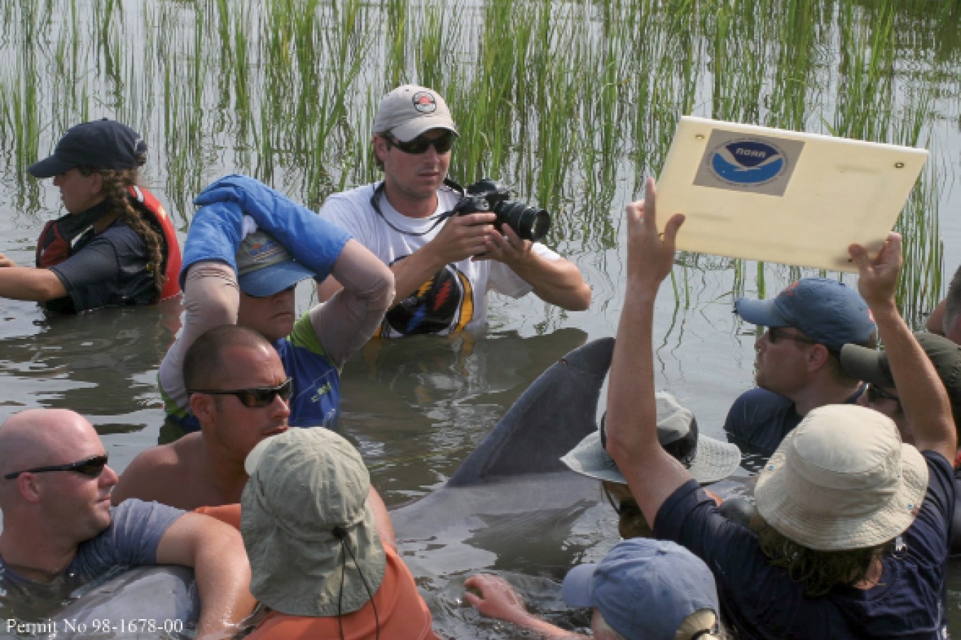 HERA capture-release team