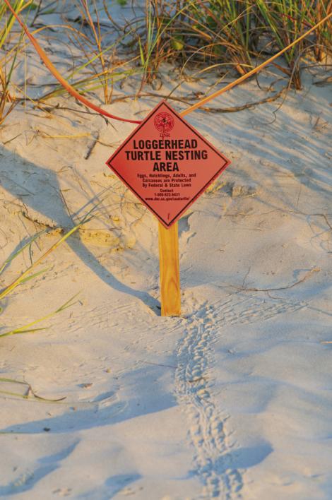 Do&#039;s and Don&#039;ts.