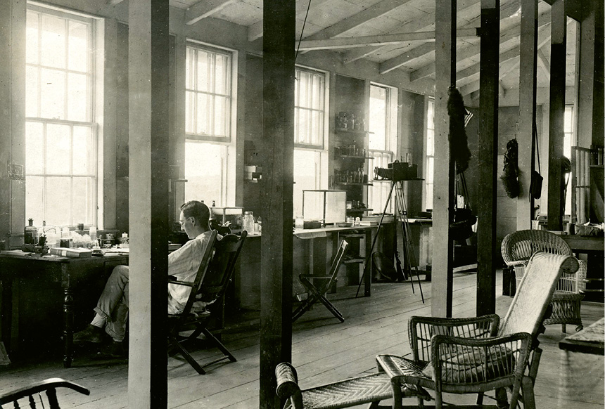 Inness Hartley at his desk in the lab.