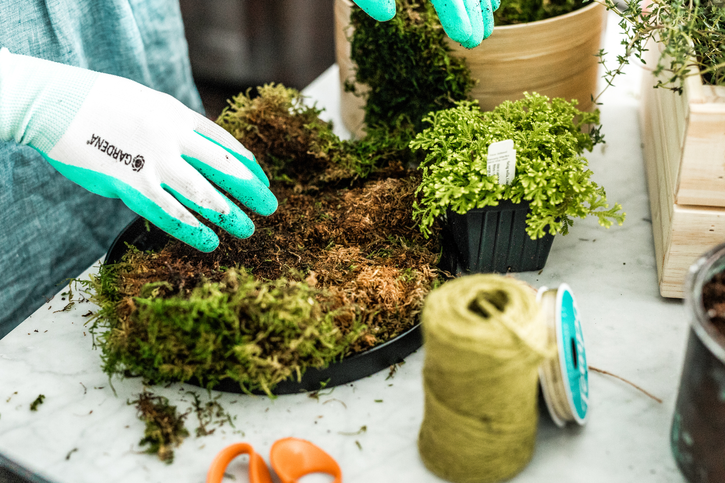 Lay a piece of sheet moss on your workstation, dirt-side up.