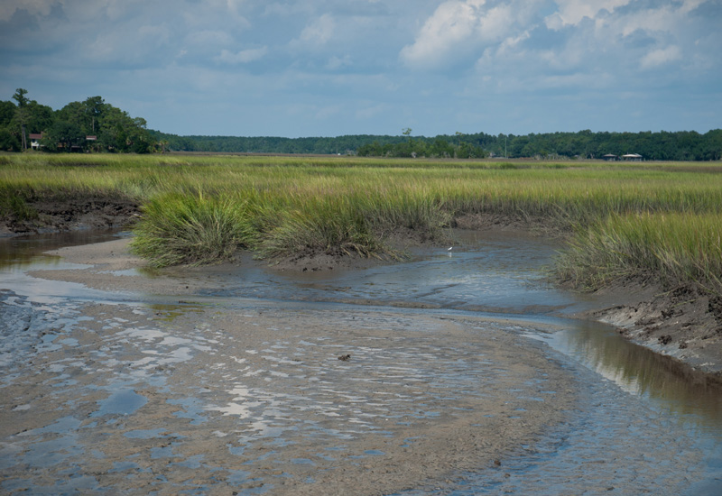 Photograph by Sarah Knowlton