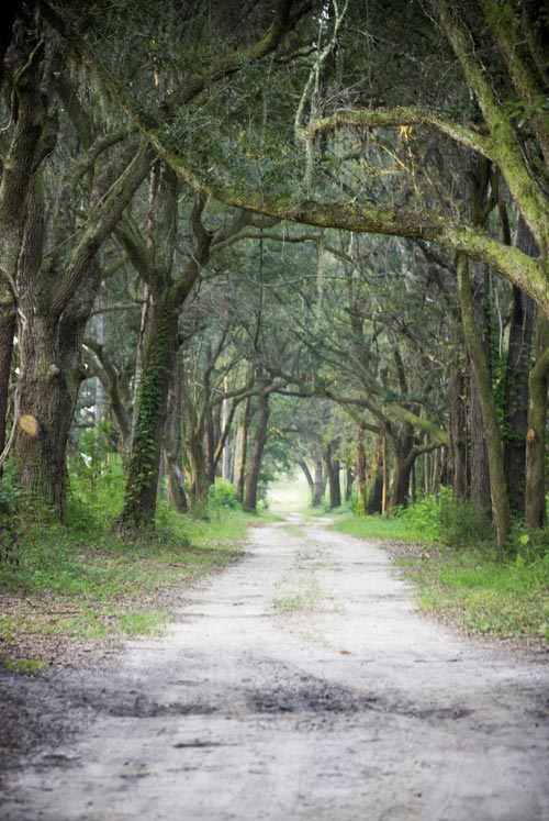 Photograph by Sarah Knowlton