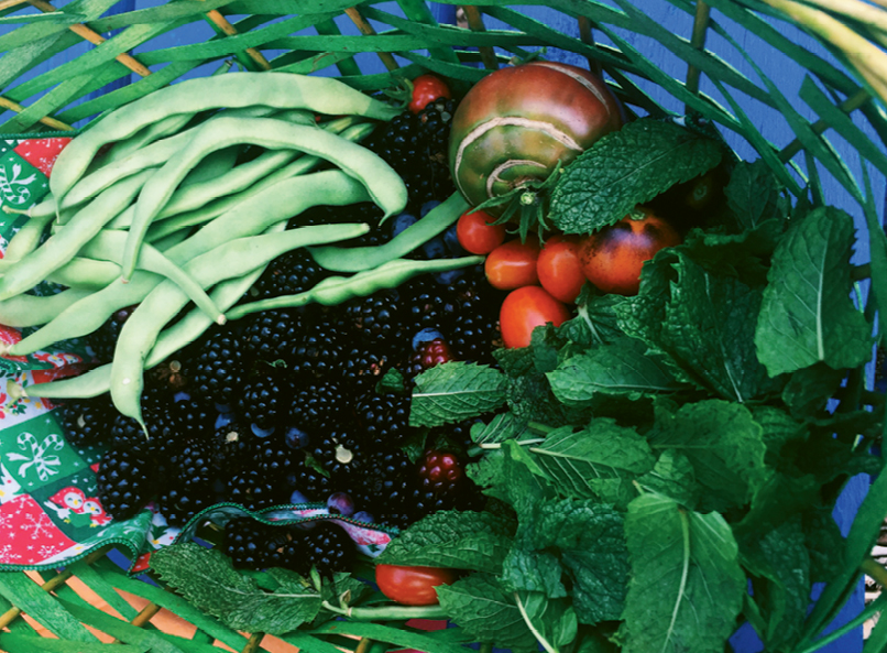 A summer day&#039;s harvest