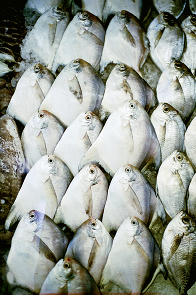 ETHNIC GROCERY: H&amp;L Asian Market