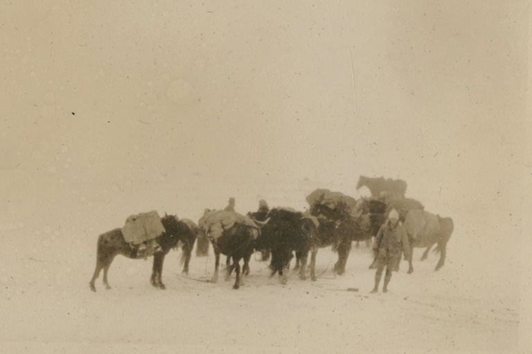 Camping in Alaska, 1926
