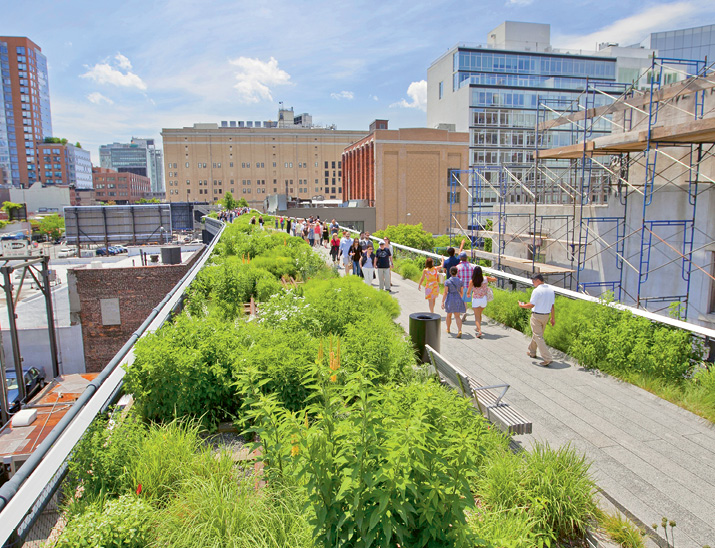 Transformative Tracks: Taking their cues from the incredible success of Manhattan’s High Line, the Friends of the Lowcountry Low Line envision similar urban redevelopment potential, aesthetic enhancement, and heavy recreational use spurred by the nearly two-mile trail.
