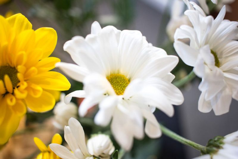 Bright accents and lively conversation on the second floor foyer kept Club members in high spirits before the show.