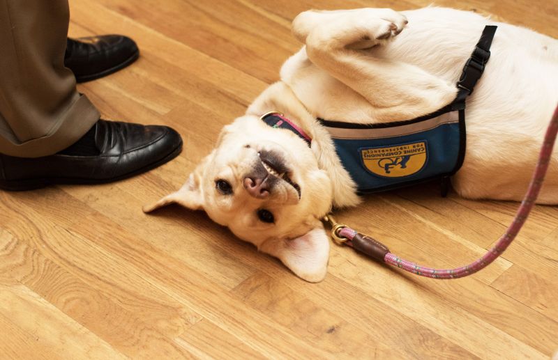 Poppy hammed it up for the guests.