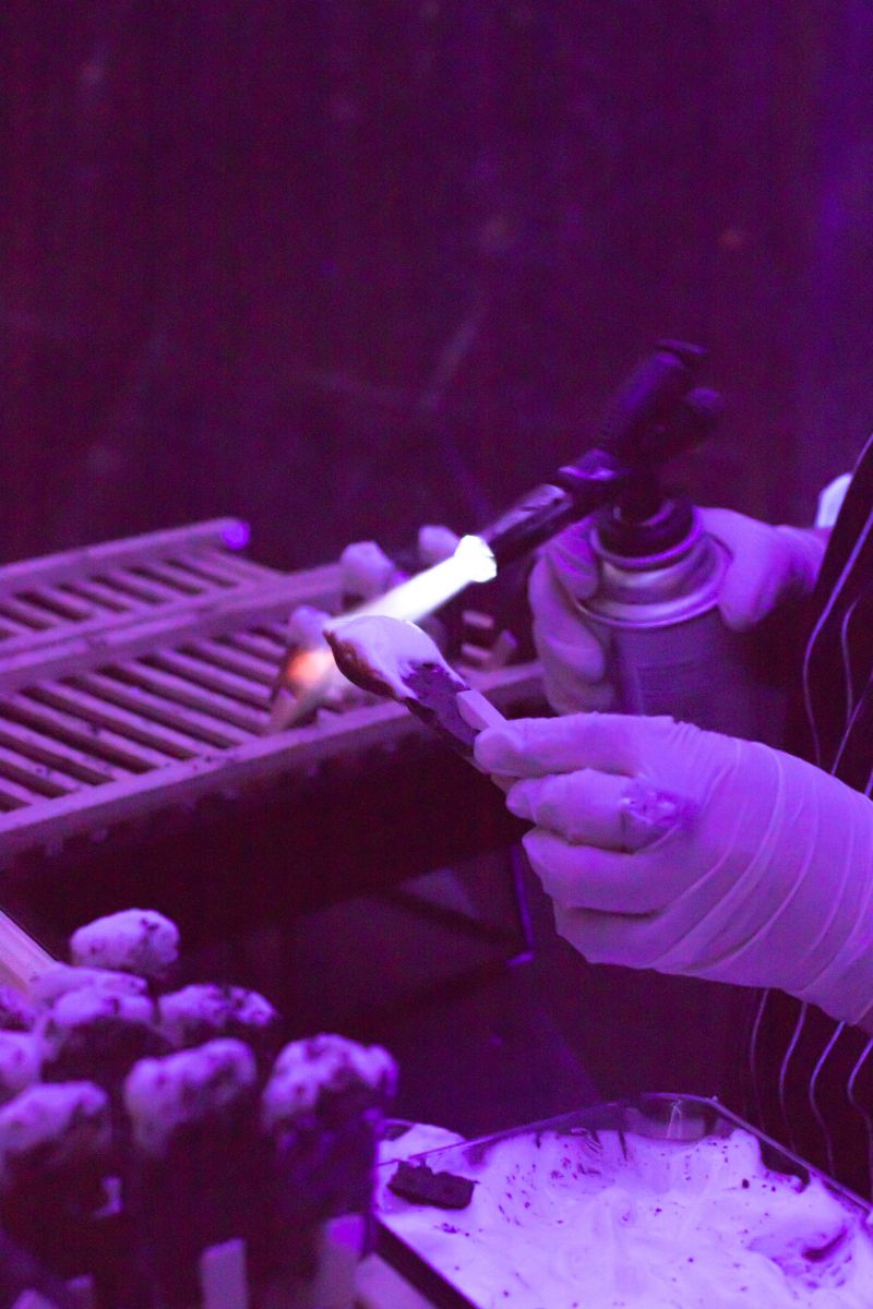 Hand-torched s&#039;mores were crowd-pleasers at the end of the night.