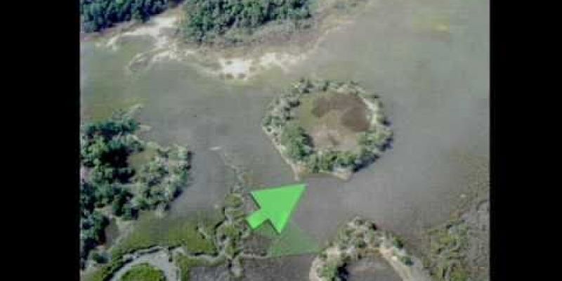 Embedded thumbnail for VIDEO: Shell Rings Archaeology