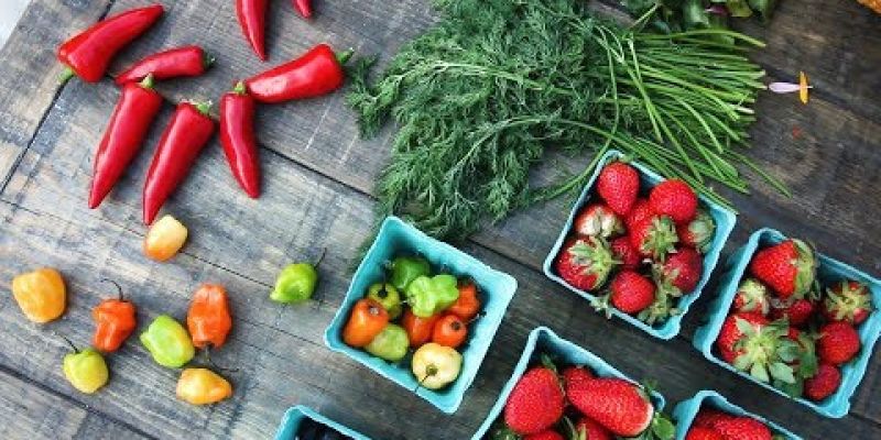 Embedded thumbnail for Kiawah River Stands