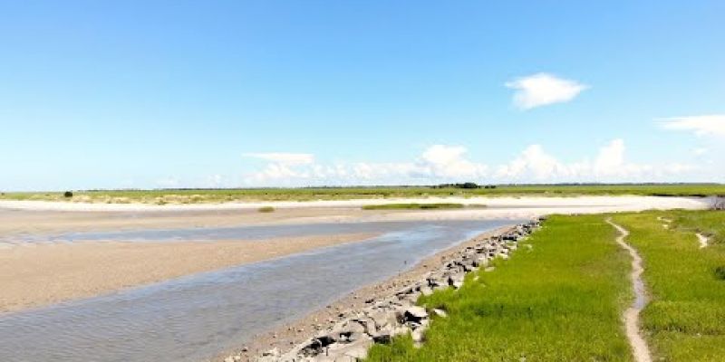 Embedded thumbnail for Charleston Chill: SC Department of Natural Resources