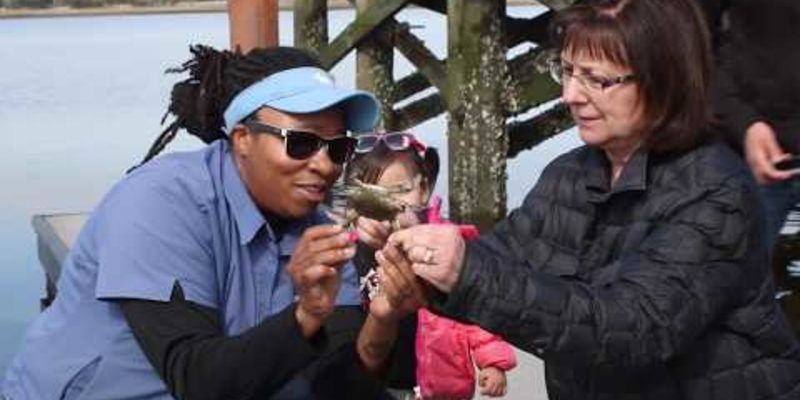 Embedded thumbnail for 10 Things to Do in Charleston in 2020